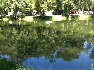 Lake with ducks